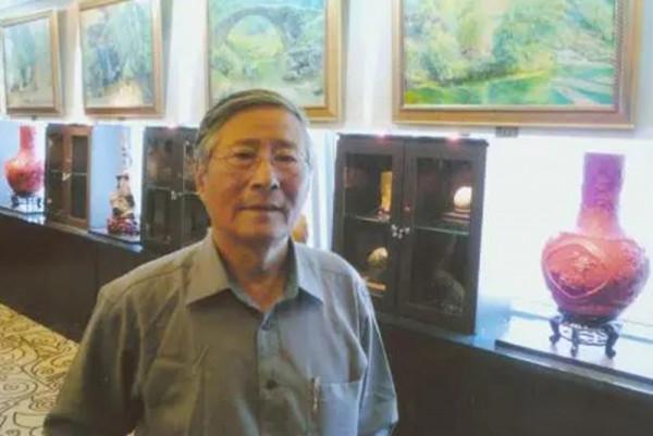 海軍一共有12任政委，只有兩人不是上將，他們是誰？