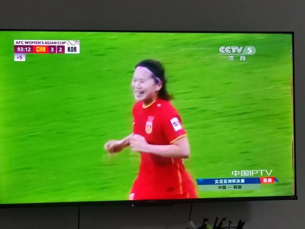 鏗鏘玫瑰 頑強綻放