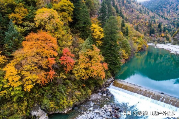 黑水秘境,感受奶子溝八十里彩林畫廊 黑水秘境,感受奶子溝八十里彩林畫廊