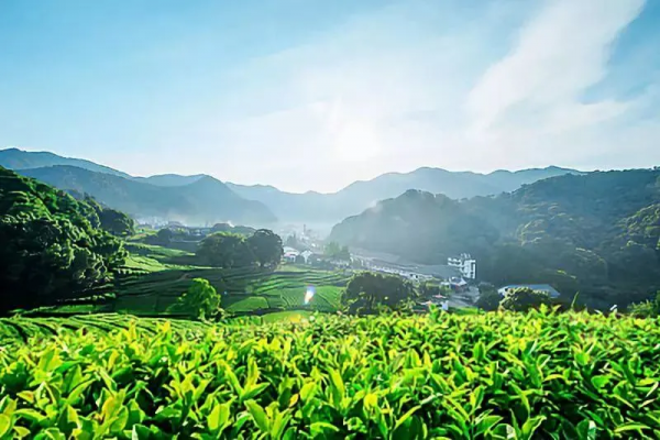 最高階的修養,是把好脾氣留給身邊的人 最高階的修養,是把好脾氣留給身邊的人