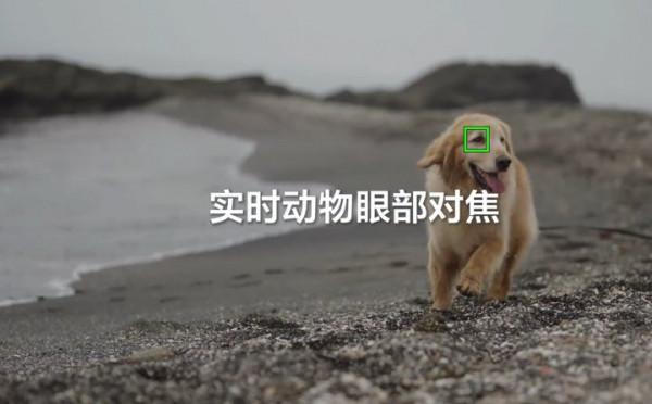 索尼釋出α7M4:不到一萬七,照片面向人人、影片雙影像創作工具 索尼釋出α7M4:不到一萬七,照片面向人人、影片雙影像創作工具