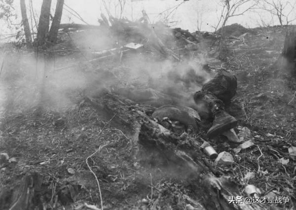 抗美援朝戰爭第五次戰役，志願軍奮戰時，朝鮮人民軍在幹什麼？