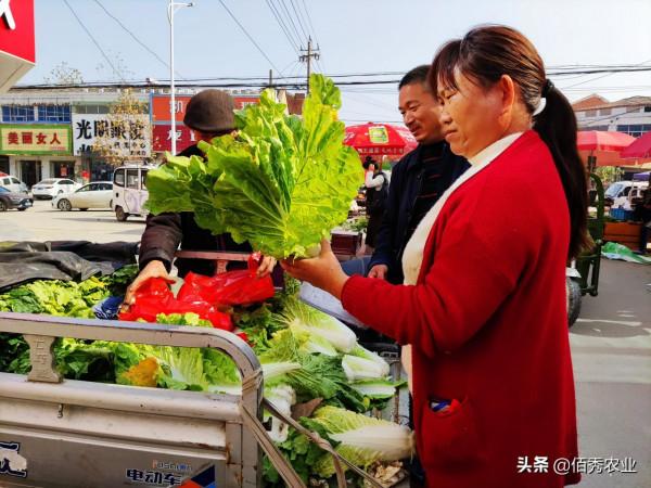 農村老人街頭賣菜30年,琢磨出做生意“捷徑”,每個行業都有竅門 農村老人街頭賣菜30年,琢磨出做生意“捷徑”,每個行業都有竅門