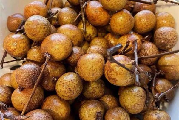 立秋後,要多吃水果,特別是石榴,再貴也要吃,不懂吃可惜了 立秋後,要多吃水果,特別是石榴,再貴也要吃,不懂吃可惜了