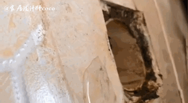 日子過久了才發現,這幾個衛生間的生活痛點,是許多中國家庭通病 日子過久了才發現,這幾個衛生間的生活痛點,是許多中國家庭通病