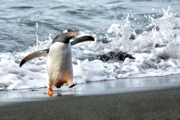張炎龍:假日旅遊中的喧鬧與寂靜 張炎龍:假日旅遊中的喧鬧與寂靜