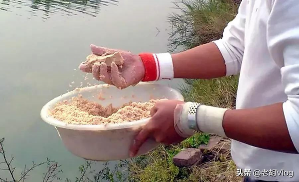 冬釣最大的難題，莫過於釣上幾條魚就停口了，解決辦法很簡單