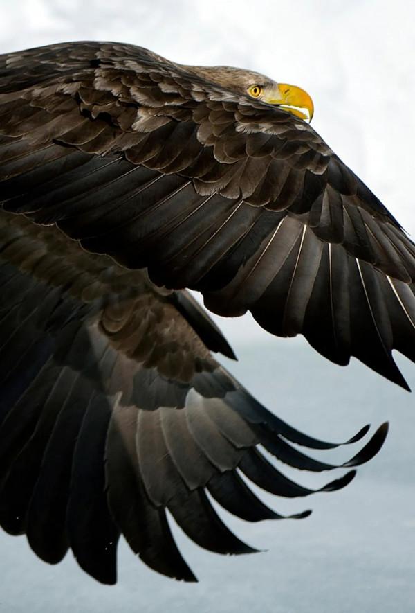 張炎龍:假日旅遊中的喧鬧與寂靜 張炎龍:假日旅遊中的喧鬧與寂靜