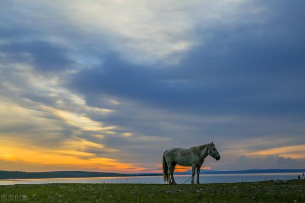 神秘蒙古國被人忽略的N個事實