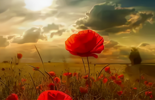 如何才能不憂慮,不恐懼?請記住孔子的這句話 如何才能不憂慮,不恐懼?請記住孔子的這句話