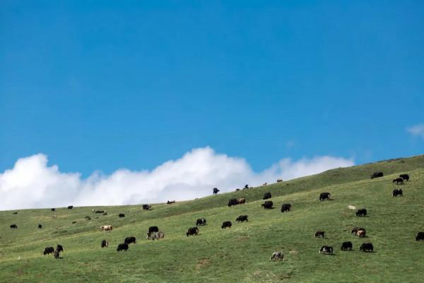 人生一定要去的50個地方!被孤獨星球評為亞洲最佳旅行地的Top1 人生一定要去的50個地方!被孤獨星球評為亞洲最佳旅行地的Top1