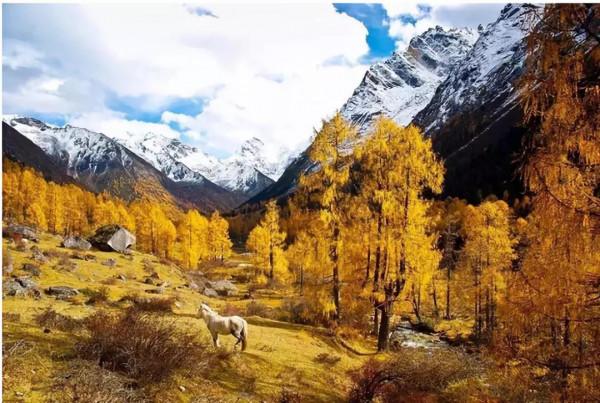 「虹橋溝」養在深閨的川西童話 「虹橋溝」養在深閨的川西童話