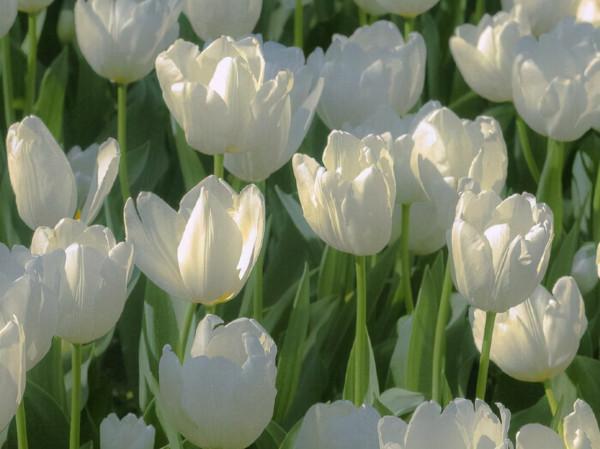 看似簡單，卻很有故事性的星座，不願意把自己的悲傷展現給人看