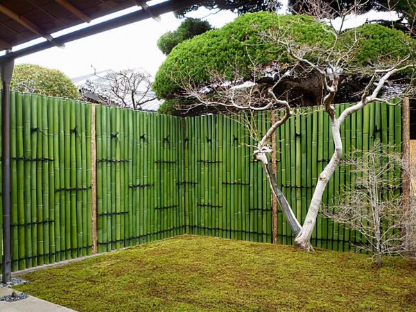 竹子籬笆怎麼處理才能經久耐用 竹子籬笆怎麼處理才能經久耐用