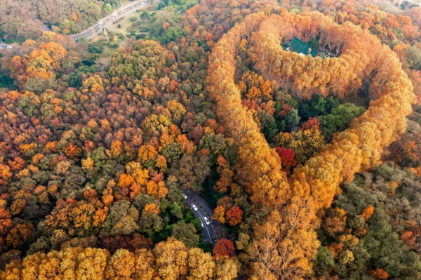 一到秋天，這五座古城就美翻，趕緊去打卡吧
