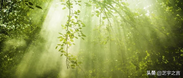 護膚品中添加了“酒精”,用了會毀臉嗎? 護膚品中添加了“酒精”,用了會毀臉嗎?