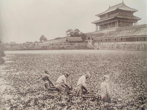 北京的老照片；八國聯軍時期的北京城景