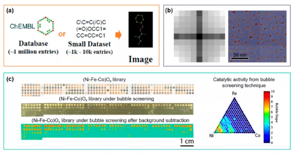 ACS Catal. | 機器學習在過渡金屬電子催化劑研發中的應用