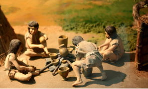 世界第一大蟲災，20萬隻粉紅椋鳥到達新疆後，滅蝗大戰就開始了