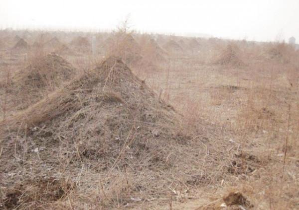 60年代湖北關羽墓被挖開，墓室盡頭，發現4根鐵鏈懸掛的古棺