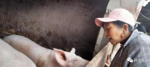 彝寨辦殺豬宴啦!村裡人都過來吃 彝寨辦殺豬宴啦!村裡人都過來吃