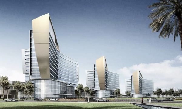 她2歲當養女,18歲輟學打工,36歲患病被迪拜富豪相救後回國感恩 她2歲當養女,18歲輟學打工,36歲患病被迪拜富豪相救後回國感恩