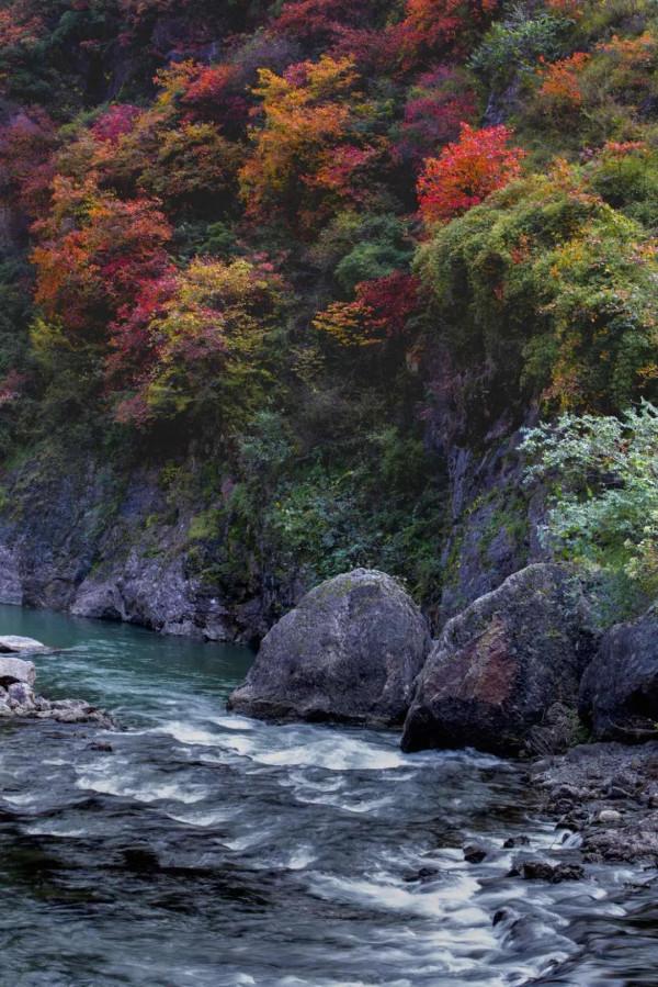 甘肅最不西北的地方，通吃陝西與四川，擁有絕美南國風光圖
