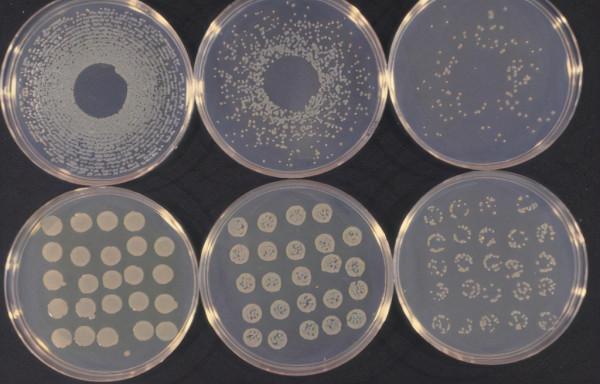 什麼是奈米發電機？奈米科技其它領域的應用有哪些？