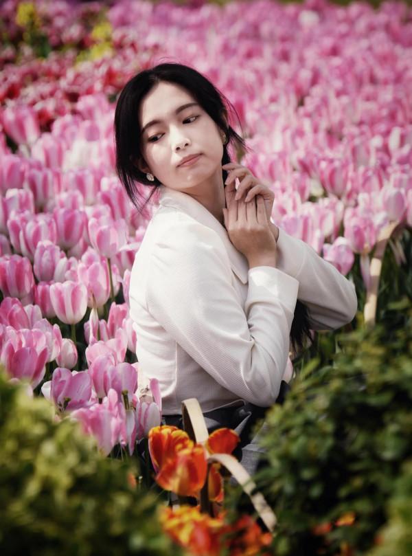 情侶園的鬱金香