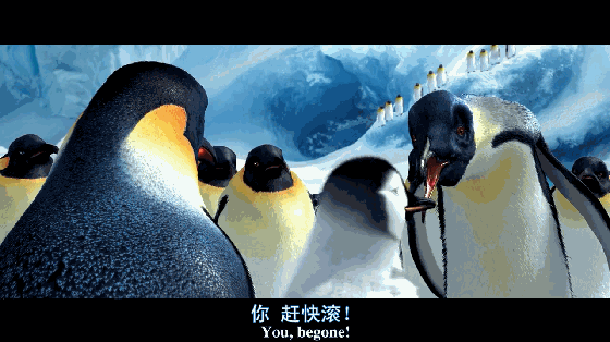 “王菲，看你咋養的女兒！”，24歲的竇靖童，是育兒的另一種可能