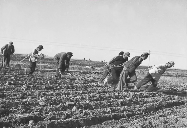 饑荒年代的土豆“大會餐”丨老照片裡的“兩彈一星”故事