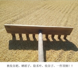 懷舊：20種農村常見工具，全用過的人幾乎沒有，你認識幾樣？