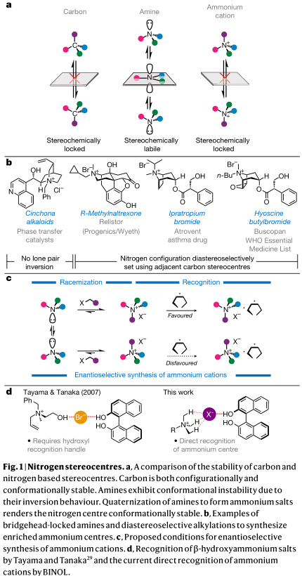 對映選擇性合成銨離子 對映選擇性合成銨離子