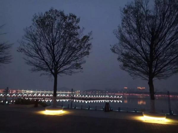 夜色龍子湖，燈火耀蒼穹。亦真亦幻