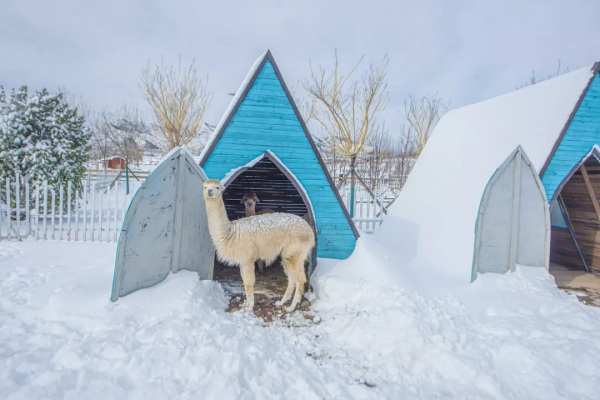 河北周邊冰雪遊：瑞雪迎春，冰雪小鎮雪景美如畫