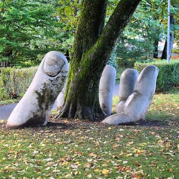 30張活久見的照片,兩棵大樹緊緊地抱在一起,阿里和泰森差距很大 30張活久見的照片,兩棵大樹緊緊地抱在一起,阿里和泰森差距很大