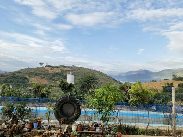 彌勒市竹園,一個美麗的地方 彌勒市竹園,一個美麗的地方