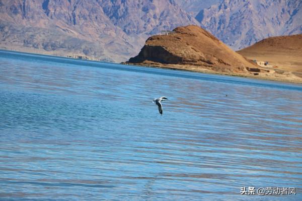 大唐小唐歷險記—遇見班公湖,水天一色自然好風光 大唐小唐歷險記—遇見班公湖,水天一色自然好風光