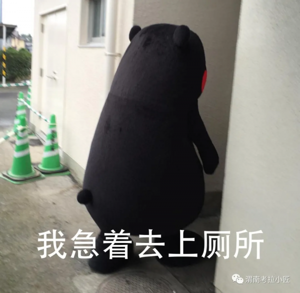 新家裝了蹲廁，朋友們都說我low，蹲廁和馬桶到底怎麼選？