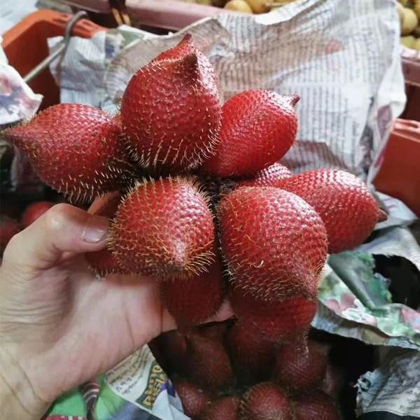 雲南的各種奇葩水果，吃法獨特，我還能叫出17種，都認識算你厲害