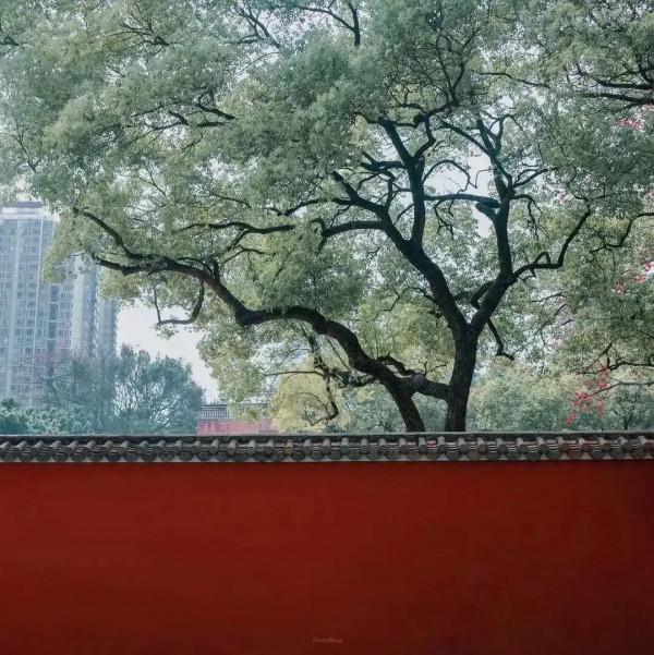 好的人生建議會提醒你，少給別人講道理