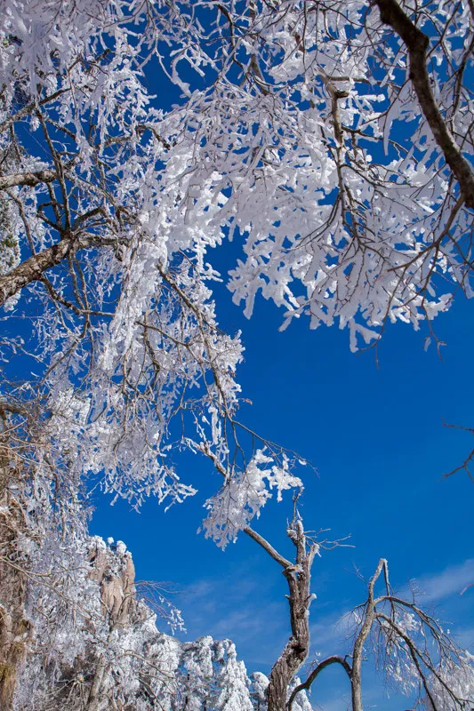 春節想要感受濃濃的年味 2022年春節小眾目的地