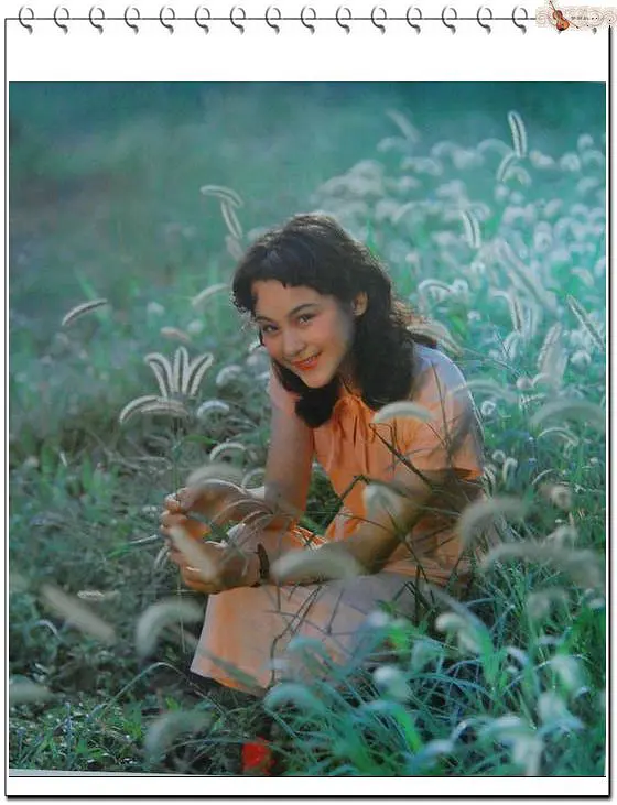 80年代當紅女星朱碧雲,巔峰時隱退遠走美國,如今過得怎麼樣了? 80年代當紅女星朱碧雲,巔峰時隱退遠走美國,如今過得怎麼樣了?