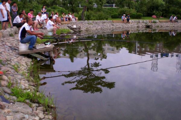 遲遲不來魚口不妨試試這兩招，興許情況就不一樣了（附解決方法）