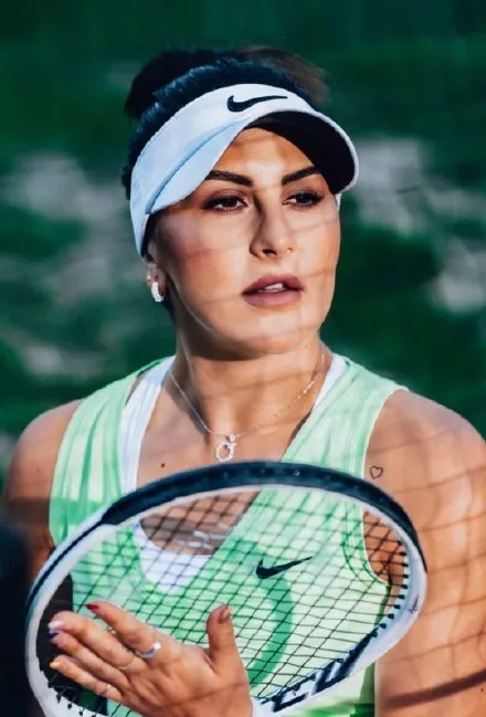 安德萊斯庫退出2022年澳洲賽季