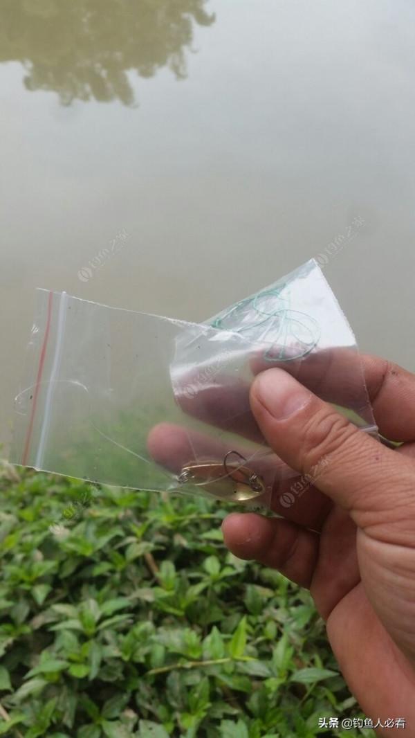 野釣搞遊擊，第一竿中魚，驚喜又刺激