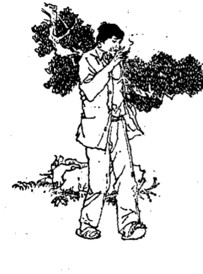 滑頭碼子吃苦頭 滑頭碼子吃苦頭