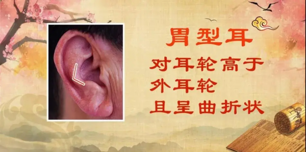 獎門人：改善聽力的妙方！用好耳朵4個穴位，預防耳聾、男女適合