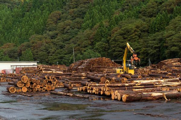 柳桉木防腐木在戶外園林古建築中的應用