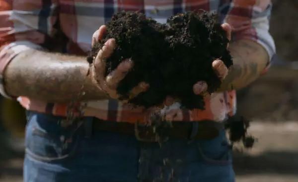 奢侈的美國“百萬農場”,用美鈔做肥料,美元霸權的一個極端表現 奢侈的美國“百萬農場”,用美鈔做肥料,美元霸權的一個極端表現